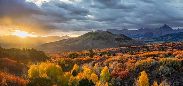 Mountains & Trees