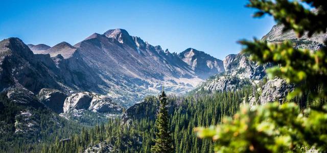 Mountains and Forests